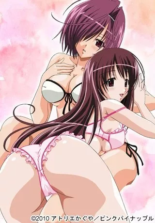 Kateikyoushi no Oneesan 2 The Animation