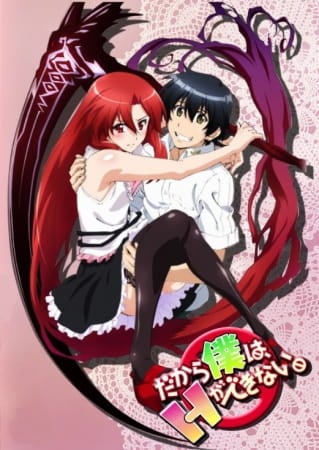 Dakara Boku wa, H ga Dekinai